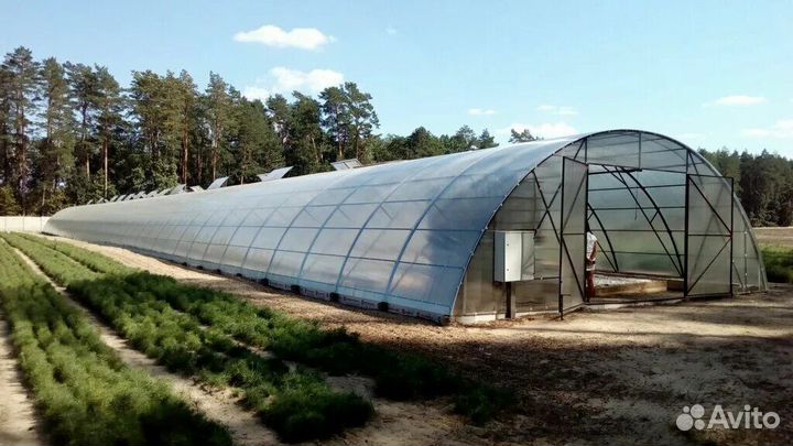 Быстровозводимые теплицы