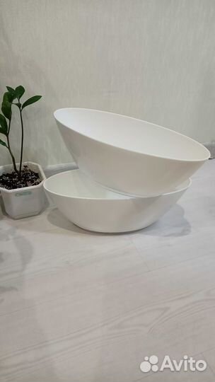 Комнатные цветы горшки