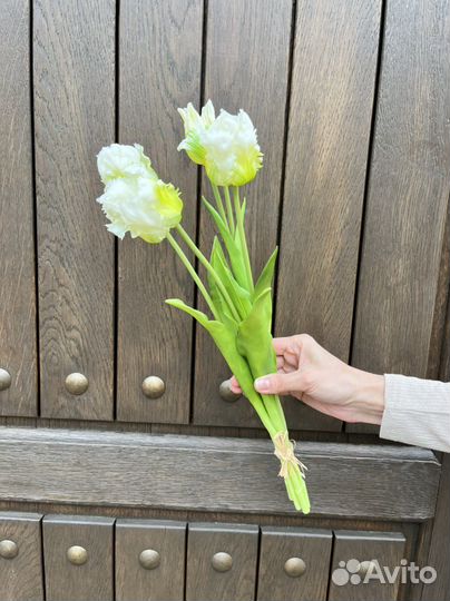 Тюльпаны махровые