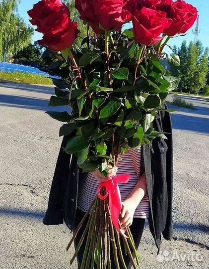 51 Роза, Букеты Цветы Розы 25 101 501 1001