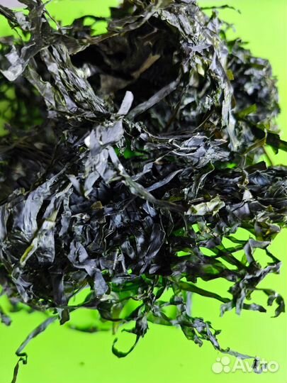 Продаю сублимированную морскую капусту