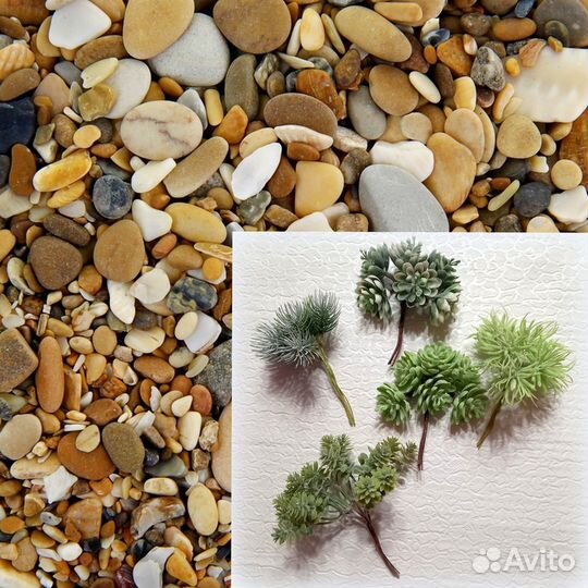 Суккуленты искусственные для творчества