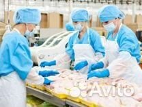 Фасовщик на линию - вахта в Пензе