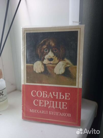 Книга Булгаков Собачье сердце
