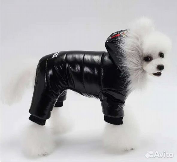 Комбинезон для кобеля мелкой породы