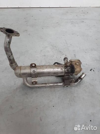 Радиатор EGR Volkswagen Golf Plus 2008 03G131512