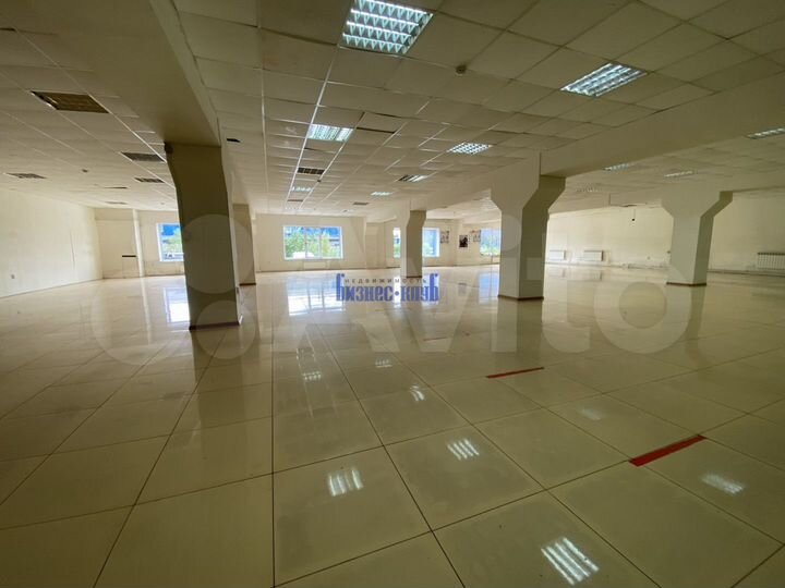 Сдам 550 метров