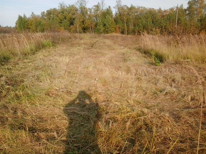 Участок 40 сот. (ИЖС)
