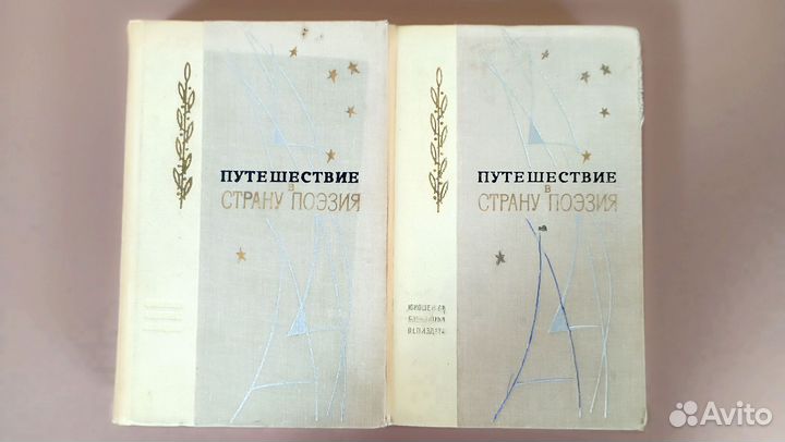 Путешествие в страну Поэзия. 2 книги