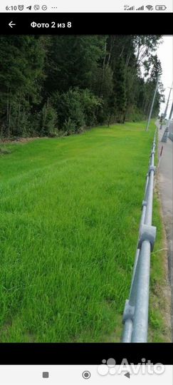 Семена газона 20 кг(Изумруд)