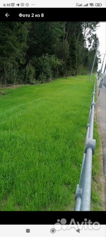 Семена газона 20 кг(Изумруд)