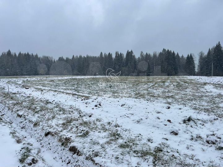 Участок 13,2 сот. (ИЖС)