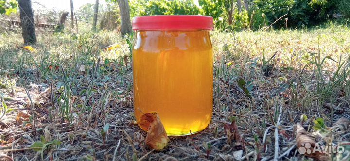 Мед подсолнечный, разнотравье, акация оптом