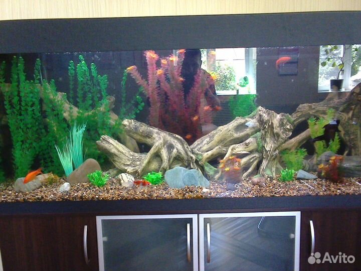 Обслуживание, установка, переезд, дизайн аквариума