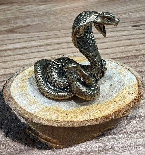 Кобра бронза змея - символ нового года