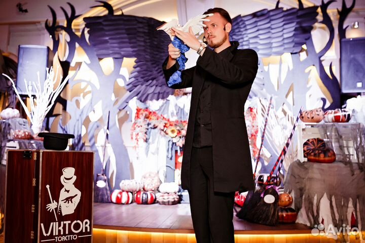 Фокусник Иллюзионист, Шоу на свадьбу