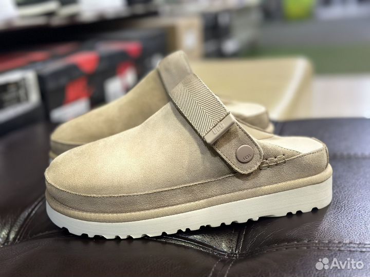 Ugg goldenstar clog cand