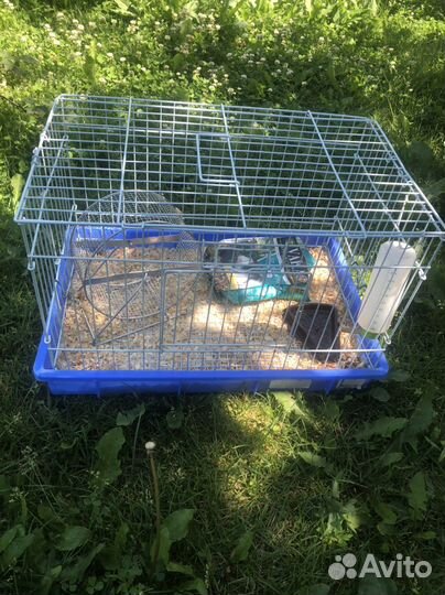 Клетка большая Переноска и переноска в самолет