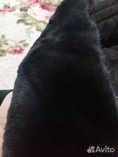 Очень качественный и тёплый фирменный пуховик