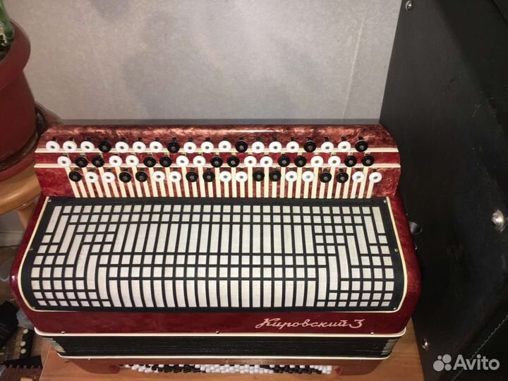 Баян Кировский 3