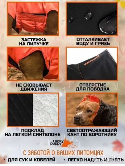 Новая Попона для собак, куртка комбинезон, 60