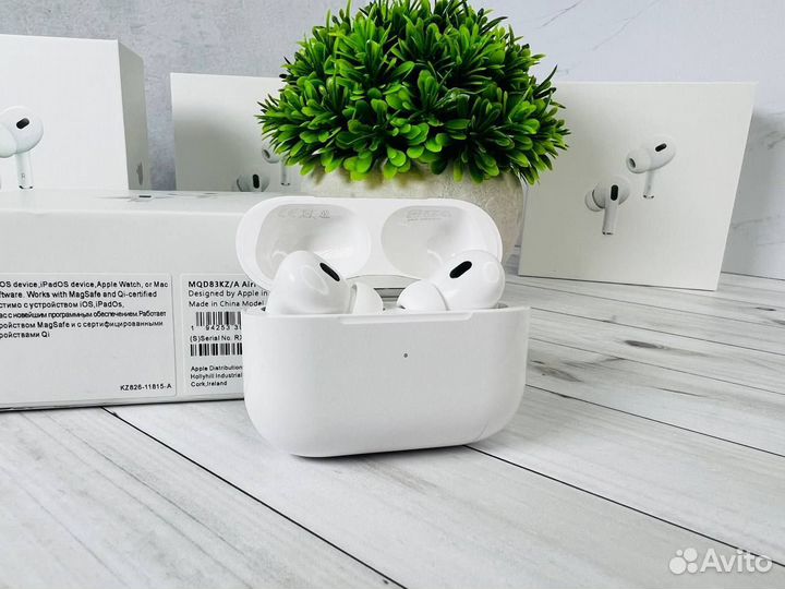 Airpods Pro 2 (Гарантия, Чехол)