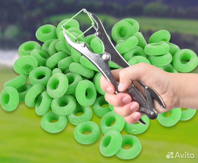 Резиновые кольца для кастрации (50/100/200 шт.)