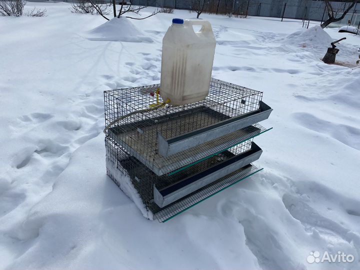 Клетки для перепелов