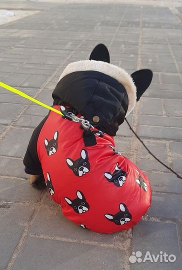Зимняя куртка для собак L
