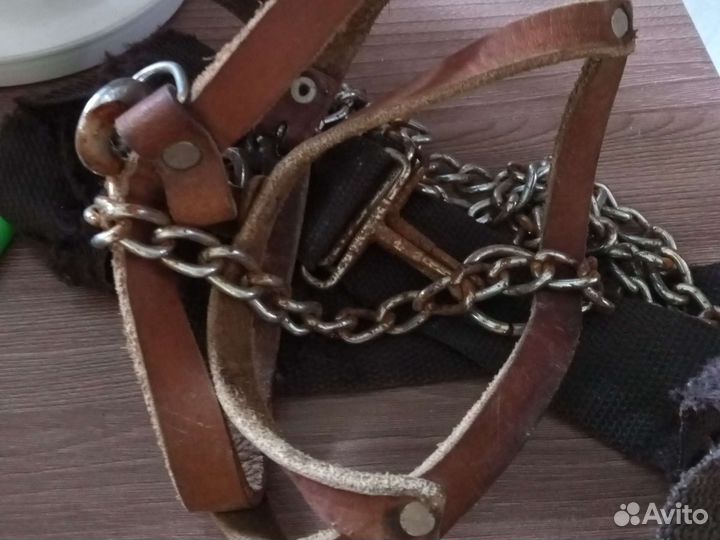 Шлейка для маленькой собаки