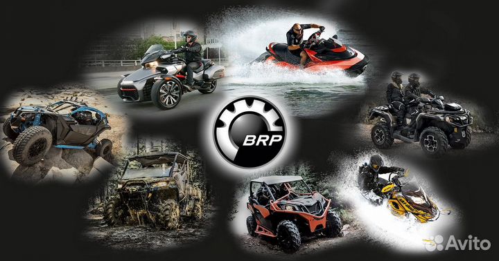 Компьютерная диагностика всего модельного ряда BRP