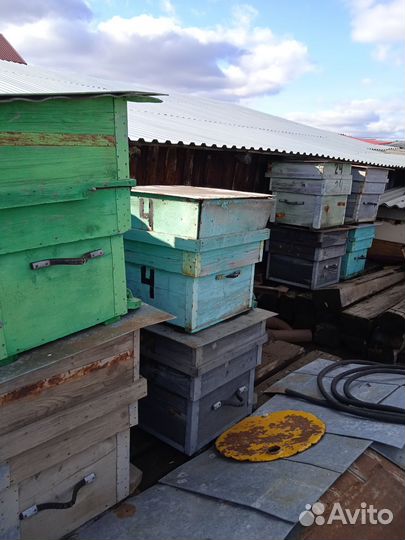 Улей для пчел бу