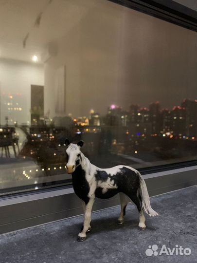 Molo лошадки жеребятки