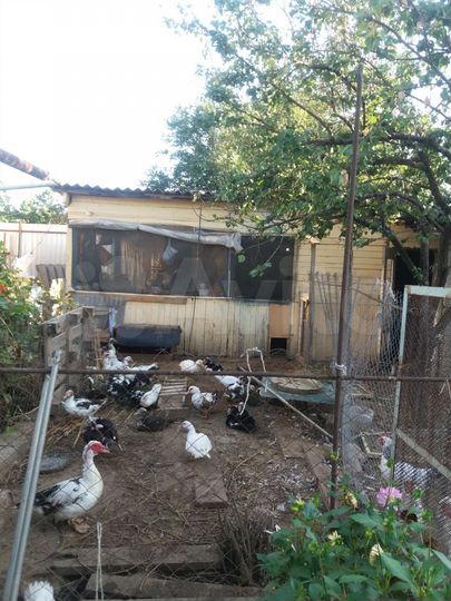 Дом 105 м² на участке 4 сот.