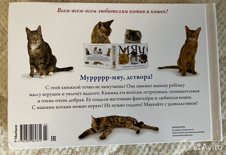 Мэтью ван флит мяу