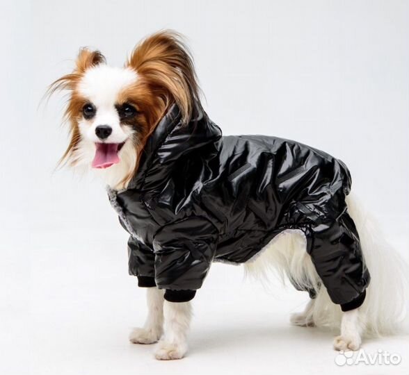 Комбинезон для собак