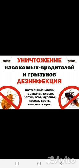 Уничтожение клопов и тараканов анонимно гарантия