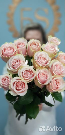 Доставка 46-10-00 Цветы Букет 15 нежно-розовых Роз