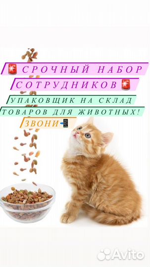Вахта 15 смен/Еженедельные выплаты/Упаковщик