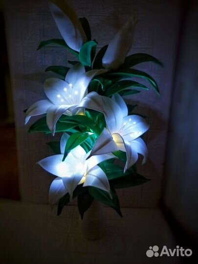 Красавица Лилия