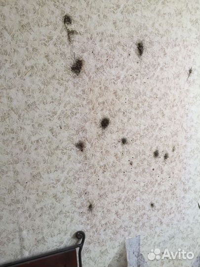 Дезинфекция