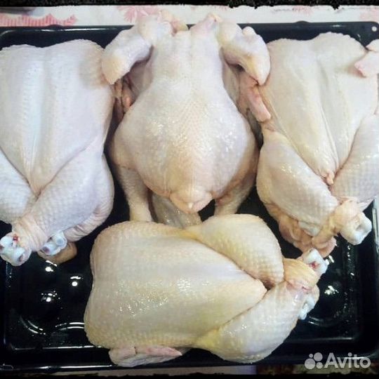 Мясо домашнего бройлера
