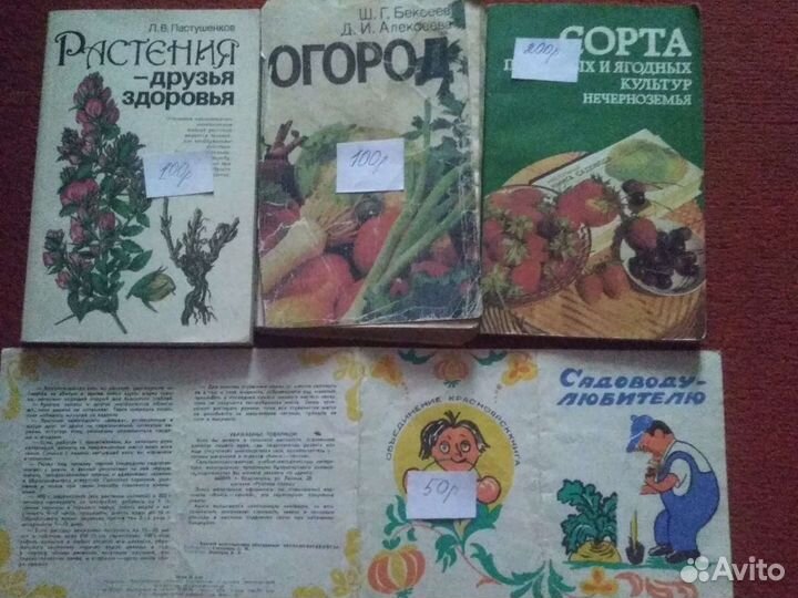 Книга 