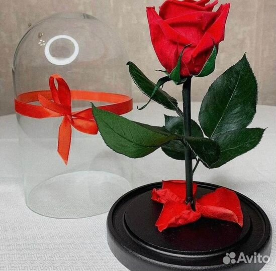 Роза в колбе. Неувядающая