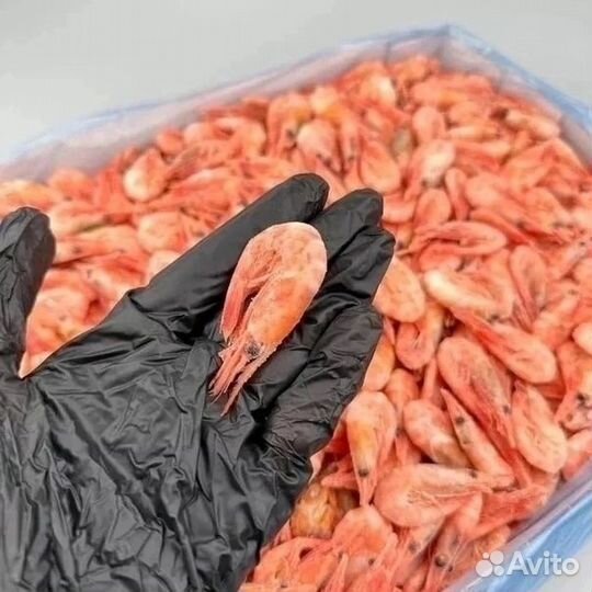 Креветка северная 250+