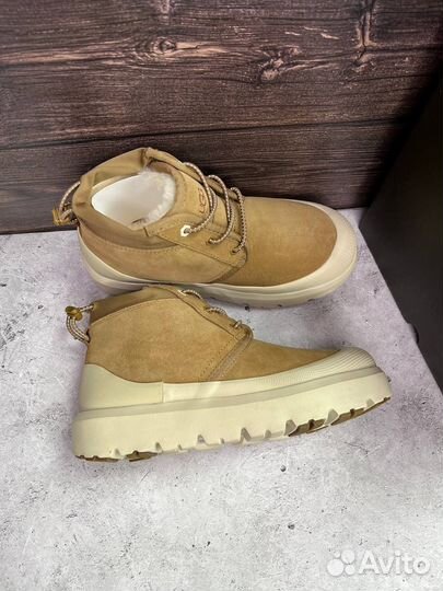 Угги мужские Ugg