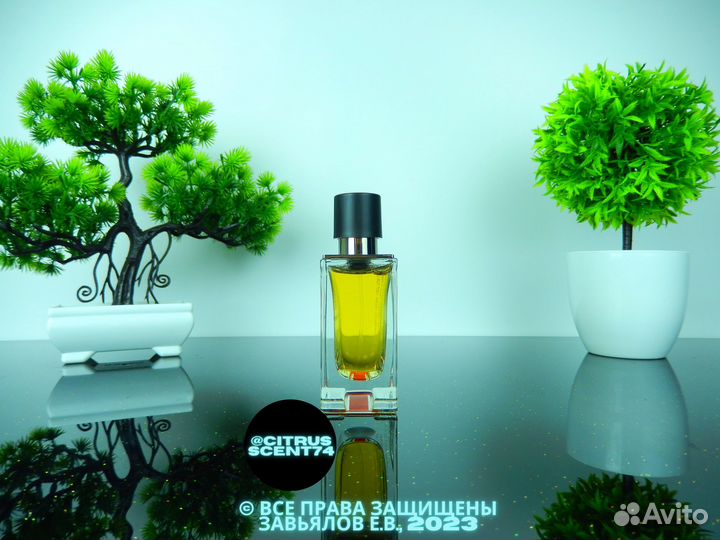 Hermes - Terre d' Hermes Отливант