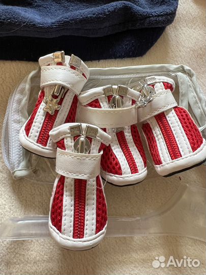 Одежда для мелких собачек