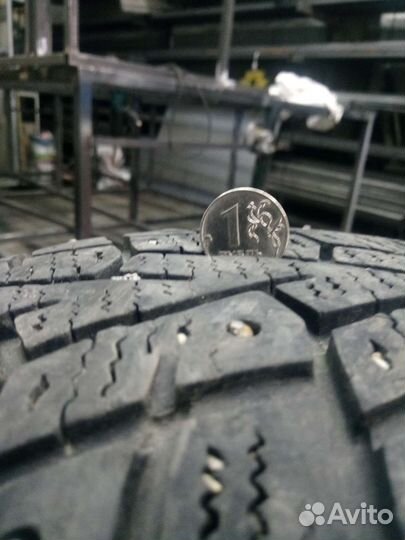 Nexen Winguard WinSpike 185/70 R14 92T