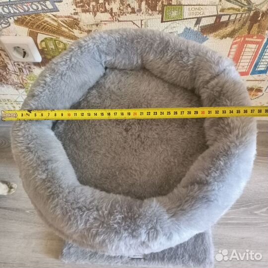 Когтеточка